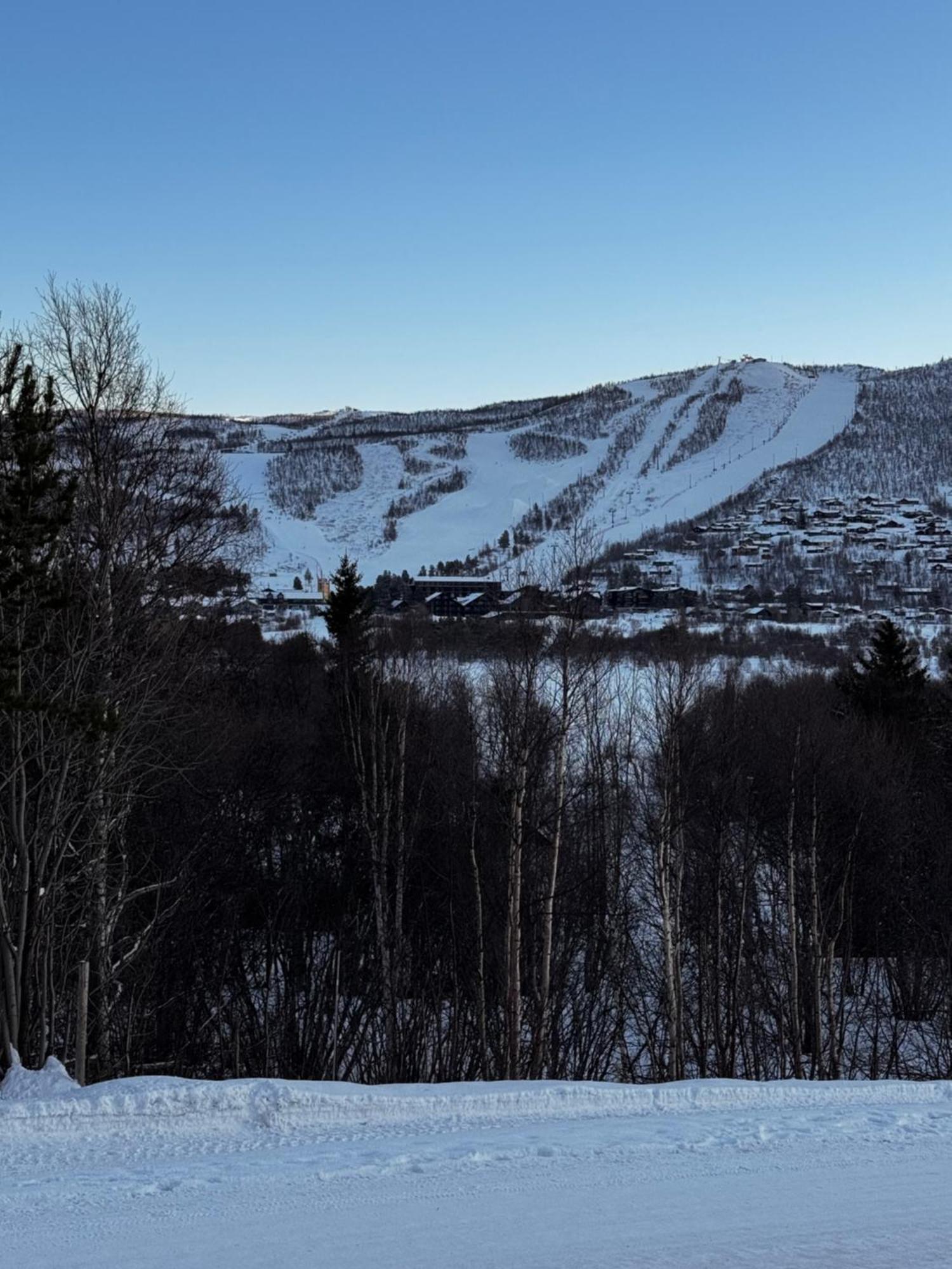 Ustedalen